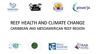 Webinar: Reef healthy and climate change / Caribbean and Mesoamerican Reef Region