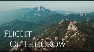 Dan Caine - Flight of the Crow (Official Video)