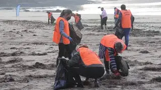Econoia: mar vivo, mar limpo (resultados 2020-2021actualizados)