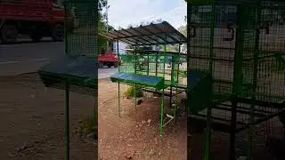 HI-TECH CHICKEN CAGE MAKING #shorts