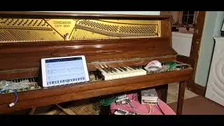 Pirates ahoy! #playerpiano #arduino