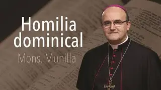 Homil&iacute;a 20.11.2022 /Domingo de Cristo Rey