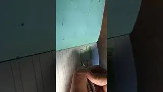 Как сожно класно оформить число ✨🌈💗