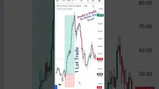1 Lot Trading #trading #nifty #trader #parttimeearning