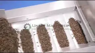 Automatic Cookie Pouch Packing Machine #Cookiepackagingmachine #baggivenpackagingmachine #packing