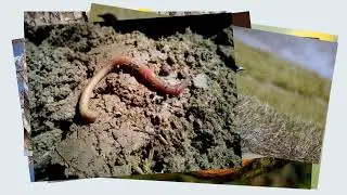 Explore Nature Photography | Fun Animal Activities for Kids | Hands-On Education