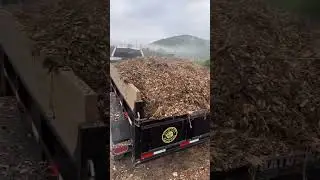 Beautiful Wood Chip Load