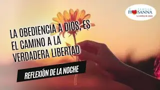 La Obediencia a Dios #ReflexiónDeNoche, Domingo 5 Mayo 2024 #PadreJohnAlbeiroMontoya #FamiliaHosanna