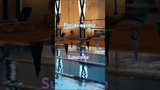 Florida Swimming Pool | # shorts #youtubeshorts