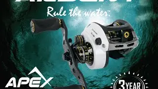 Ardent Apex Grand - 