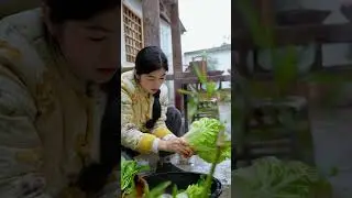 Snow-Covered Vegetables Harvested Fresh | Cooking a Traditional Farmhouse Hot Pot