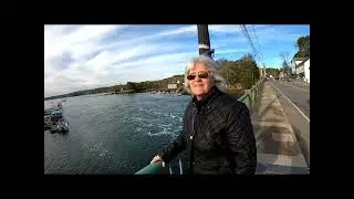 Damariscotta Pumpkin Festival  2025