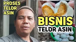 SUBHANALLAH!! START A SALTED EGG BUSINESS?! TUTORIAL: Make Salted Eggs at Home | ALI'S VLOG