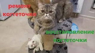Как восстановить когтеточку?. Ремонт когтеточки. How to repair a claw-point?