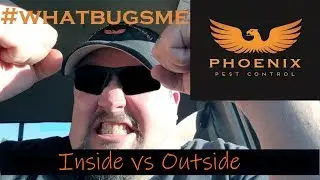 Inside Pest Control VS Outside Pest Control