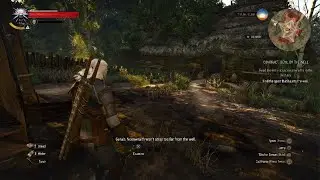 The Witcher 3 Noonwraith