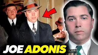 ✅JOE ADONIS: The CONSUMPTIVE New York MAFIOUS companion of LUCKY LUCIANO