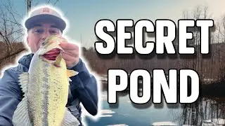 This WV Pond Has Got Them!