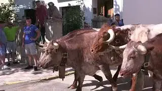 De pueblo en feria | Navas de San Juan | Encierros | 28-06-2025