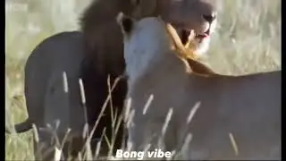 #Bongvibe #fannyyvideo  result jokon beroy 🤕| Tokon baba 'r Chele Abosta tik kamon hoy 😃🤣