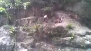 cliff jump belly flop