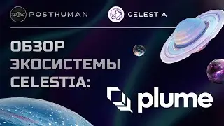 Краткий Обзор проекта Plume экосистемы Celestia - Покупаем Золото в прямом эфире
