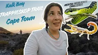 Snakes & Scorpions | Cape Town | Kalk Bay | Trappieskop Trail