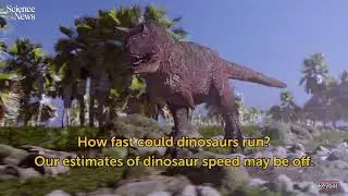 Can birds tell us how fast dinosaurs ran? | Science News