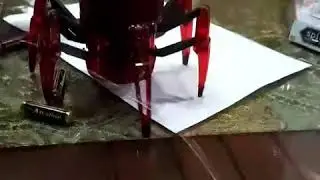 Hexbug - Robotic Spider Xl