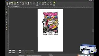 03 A3 DTF RIIN software prints patterns