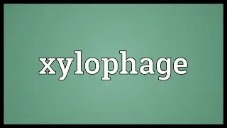 Xylophage Meaning
