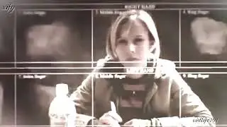Veronica mars ~ Bad guy