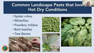 Gardening in a Changing Climate