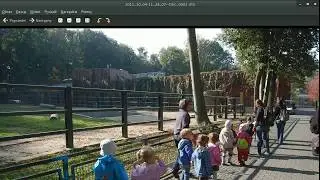 Practically bash programming: Resizing multiple images