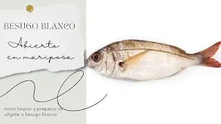 cómo abrir un aligote o besugo blanco en mariposa o por la espalda e identificar si está fresco o no