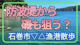 石巻△▽漁港散歩 2025年8月