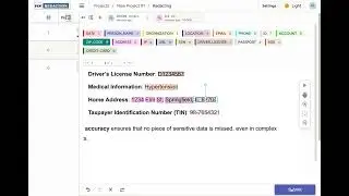 PDF Redaction Studio - on-premise deployment