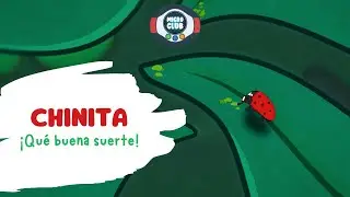 #MICROCLUB T1 - CHINITA #insectos #ciencia