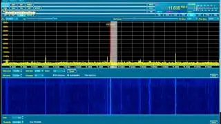 QS1R Noise Blanker Demo - Very weak noise
