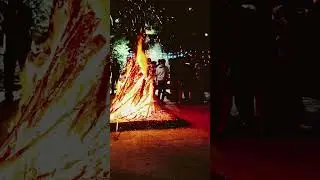 Happy Bhogi South traditional festival 🎎#viralvideo #music #short #shortsvideo #rajeshallinone