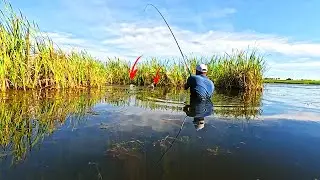 Uma buraca entre a lagoa e a taboa só tem peixe pre histórico