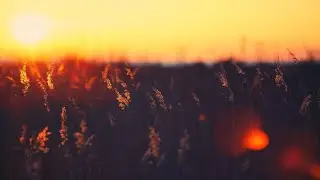 Ivan Yudin - energy (Official Audio)