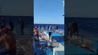 all natural view Maldives Ocen #youtube #fishing #unfrez #vews #shortvideo #video #volg #Maldives