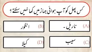 Islamic Sawal Jawab In Urdu || best islamic knowledge || best islamic quiz