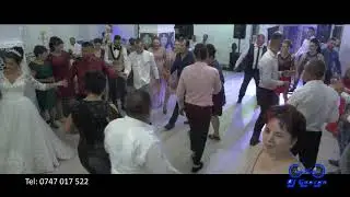 DJ George Braila - Nunta Cristina si Viorel 31.08.2019