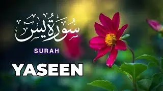 Surah Yaseen Full Tilawat ( سورہ یٰس تلاوت ) Kitabullah Sr New Tilawat Video 2025