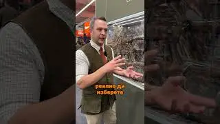 Новини от щанда на SAUER в Дортмунд🤠🇩🇪#sauer #hunting #dortmund #jagdundhund #zarimex #shorts