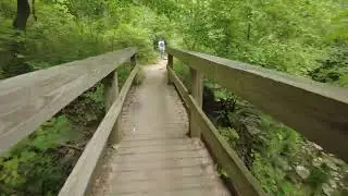Summer hiking through the French Park Creek trail A | Cincinnati, Ohio | Osmo DJI Pocket