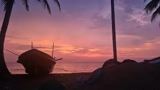 Wunderschönes Sri Lanka mit Tikka Tours Februar 2023