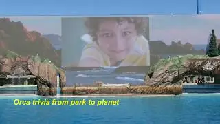 Orca Trivia from Park to Planet